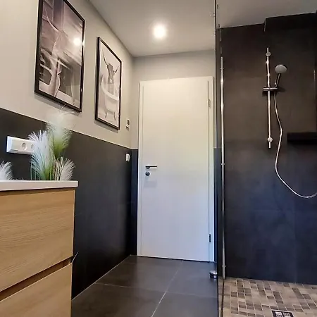 Rehblick Im Wander Und Mountainbike Paradies Odenwald * Furth (Hessen)