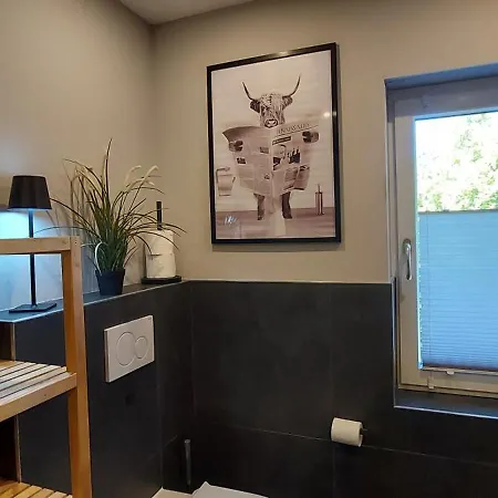 Rehblick Im Wander Und Mountainbike Paradies Odenwald *