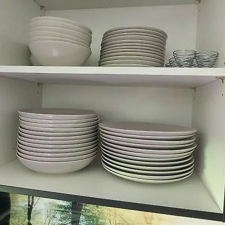 Rehblick Im Wander Und Mountainbike Paradies Odenwald Furth (Hessen)