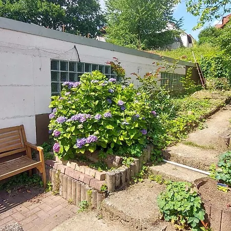 Apartment Rehblick Im Wander Und Mountainbike Paradies Odenwald