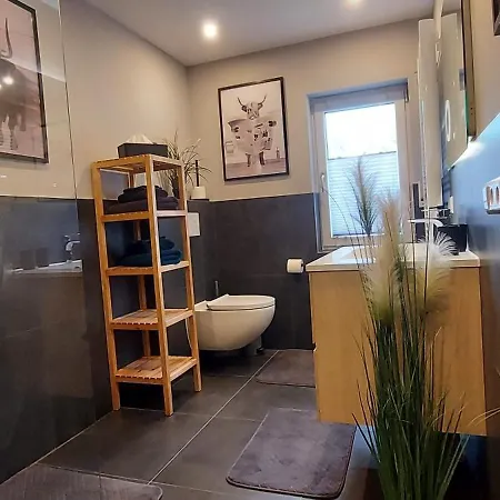 Rehblick Im Wander Und Mountainbike Paradies Odenwald Furth (Hessen)