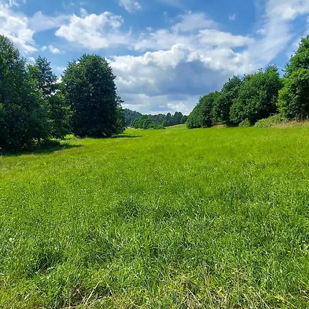 Rehblick Im Wander Und Mountainbike Paradies Odenwald Furth (Hessen)