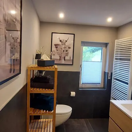 Rehblick Im Wander Und Mountainbike Paradies Odenwald Furth (Hessen)