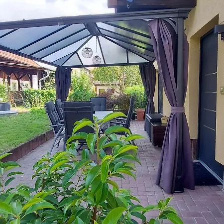 Rehblick Im Wander Und Mountainbike Paradies Odenwald Furth (Hessen)