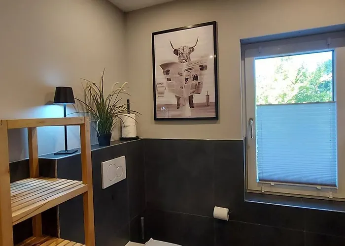 Rehblick Im Wander Und Mountainbike Paradies Odenwald *