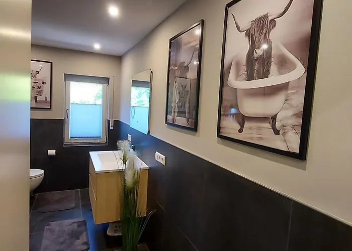 Rehblick Im Wander Und Mountainbike Paradies Odenwald * Furth (Hessen)