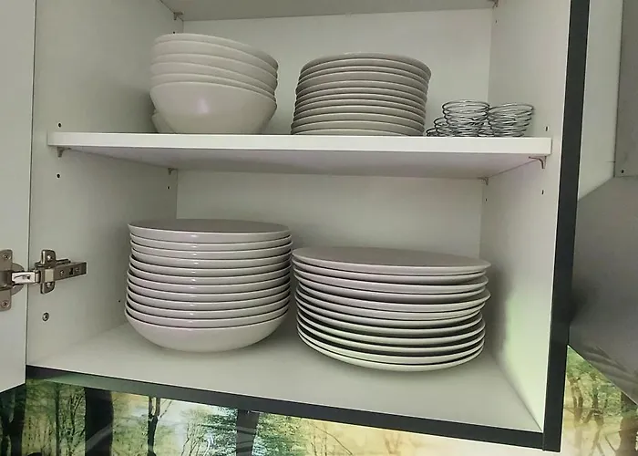 Rehblick Im Wander Und Mountainbike Paradies Odenwald Furth (Hessen)