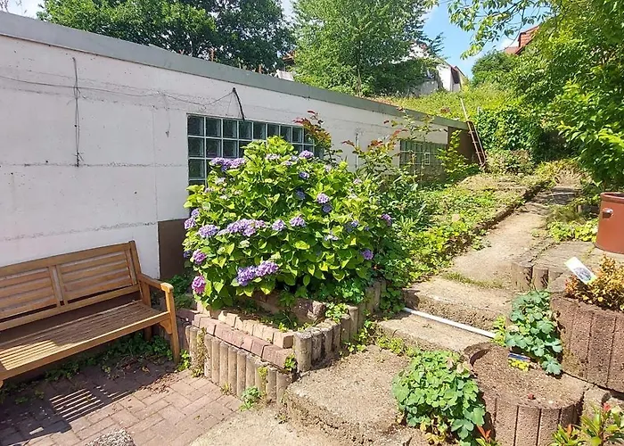 Apartment Rehblick Im Wander Und Mountainbike Paradies Odenwald