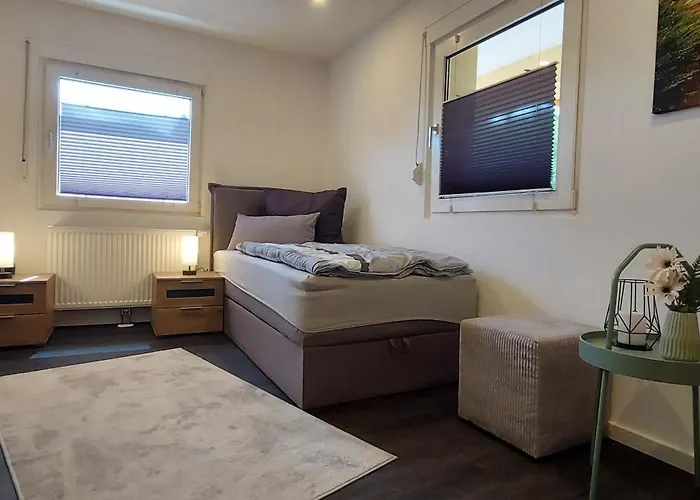 Rehblick Im Wander Und Mountainbike Paradies Odenwald Furth (Hessen)