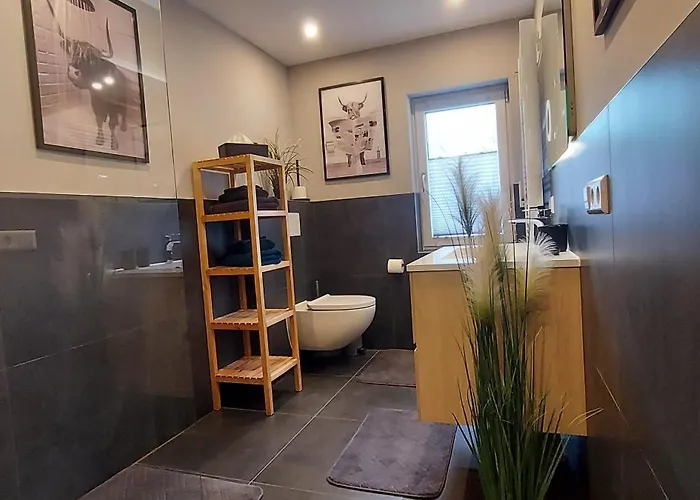 Rehblick Im Wander Und Mountainbike Paradies Odenwald Furth (Hessen)