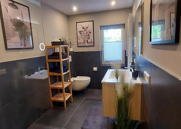 Rehblick Im Wander Und Mountainbike Paradies Odenwald Furth (Hessen)