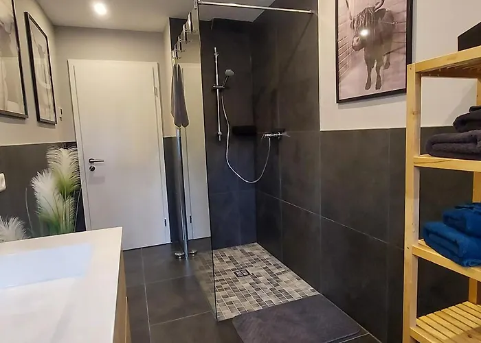 Rehblick Im Wander Und Mountainbike Paradies Odenwald Apartment