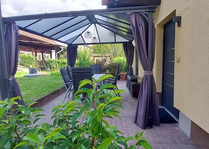 Rehblick Im Wander Und Mountainbike Paradies Odenwald Furth (Hessen)